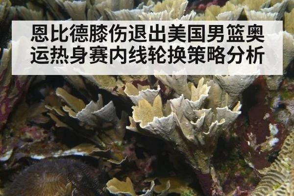 恩比德膝伤退出美国男篮奥运热身赛内线轮换策略分析