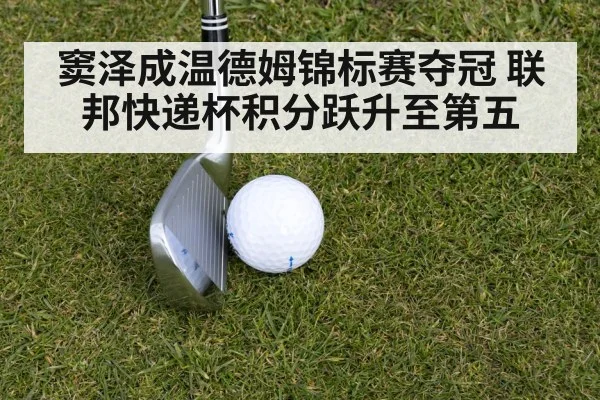窦泽成温德姆锦标赛夺冠 联邦快递杯积分跃升至第五